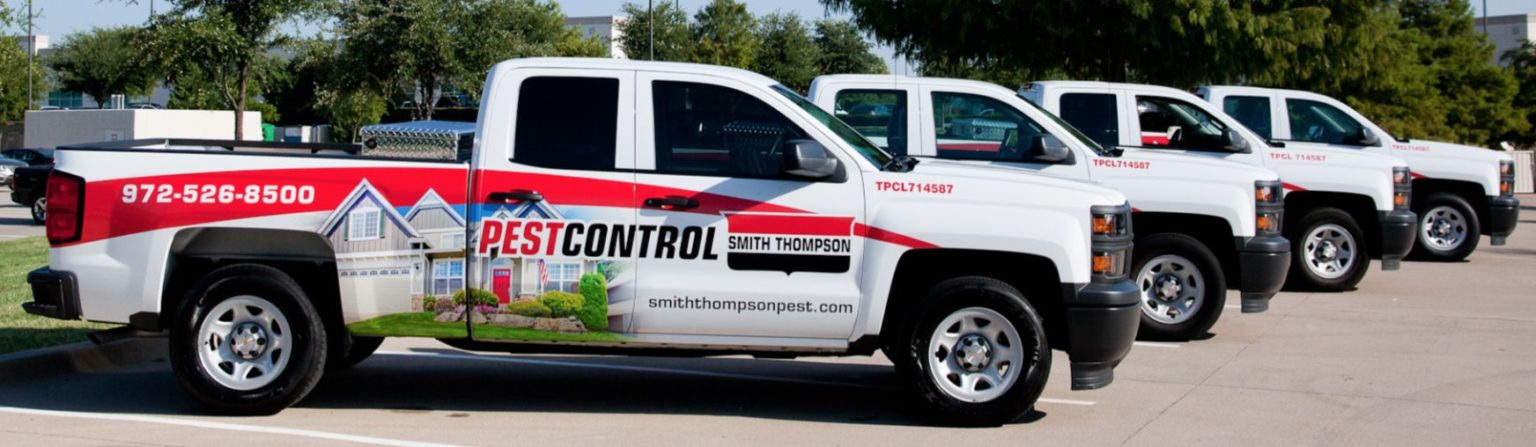 Pest Control Dallas | The Best DFW Exterminator: Smith ...